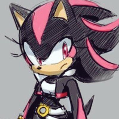 Hello, I'm Shadina. The blue faker's rival. Also known as the Ultimate Female Life Form. Stay on my good side if you know what's good for you...