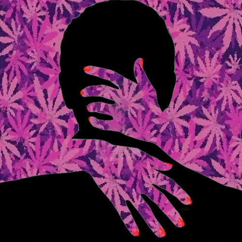 Cannabisfeen's profile picture. 