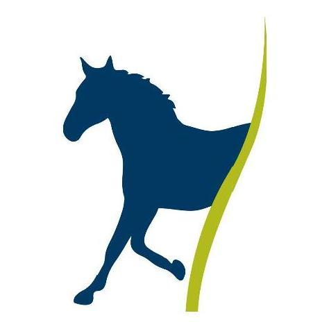 I like people but love animals.  Dedicated to health & well being for horses, dogs and other pets. Distributor/Business Owner with Forever Living Products .