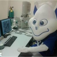 SLUChemDept (@sluchemdept) 's Twitter Profile