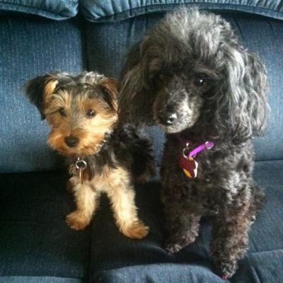 Wife and Mother of 4 children, 1 toy Poodle, 1 toy Yorkie... *Everyday is a precious gift from the Lord~give him the glory!