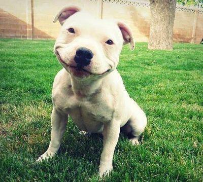 soy muy alegre me gusta disfrutar de la vida
