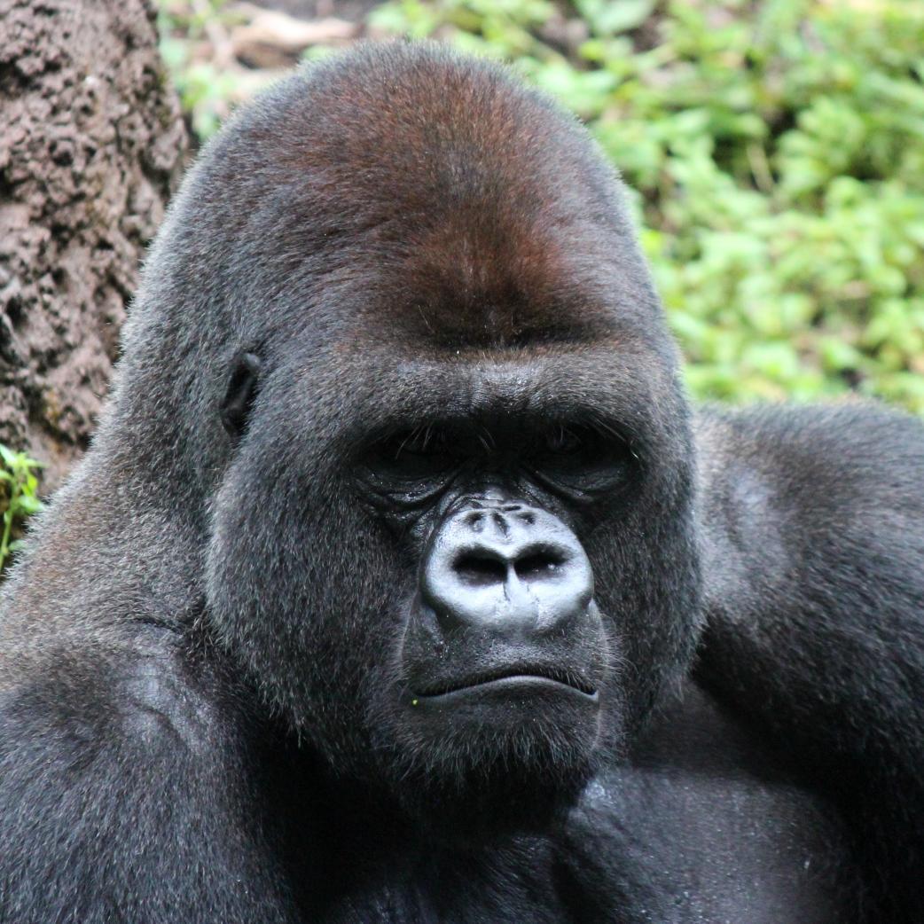 teddycharton's profile picture. https://t.co/S52WGIJaL7