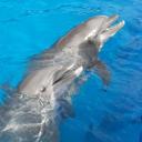 Roberto Delfin Lopez - @delfin99r - Twitter