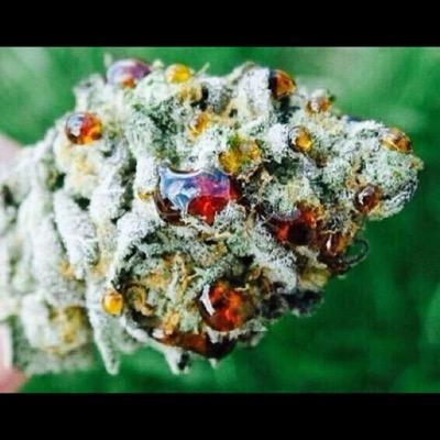 Stonerschill's profile picture. The mind of Being Stoned. Just the thought of it. Your mind is crazy!