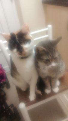 emmadungedavies's profile picture. 