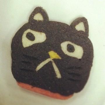■趣味: 猫/犬/爬虫類/アクアリウム/バスケ/サッカー/MMORPG/お菓子作り
■お仕事: Google Cloud/Python/PySpark/機械学習/画像認識/アクセス解析