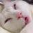 KGlitchHD's profile image