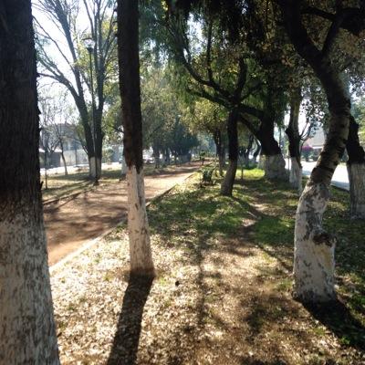 franco_negron's profile picture. 