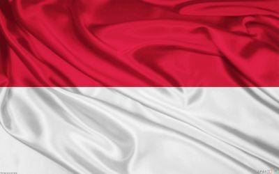 Ekspedisi NKRI