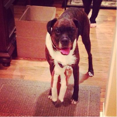 DeringerEllen's profile picture. 