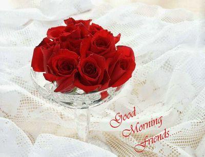 hai Friend