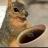 thensusquirrel's profile image