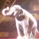 Edith Gann - @EdithGann - Twitter