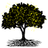 TreeCreativity's profile image
