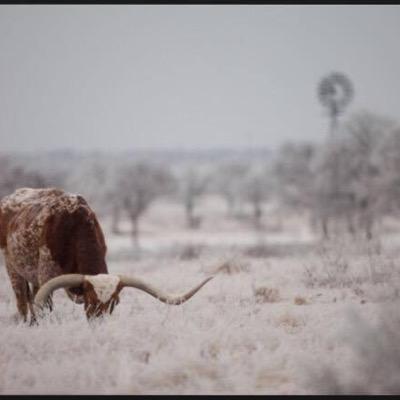 Texan that believes in free market, justice and the Truth. Lake life, ranching, Longhorns, Astros & Rockets fill my time.  Democrats cheat to win!