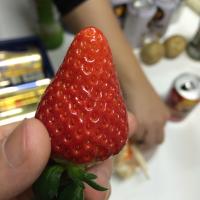 西村@PL (@uekome) 's Twitter Profile Photo