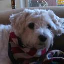 Anthony Ripley - @anthony_ripley - Twitter