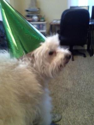 Dianne618's profile picture. 