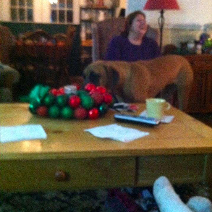 Tress621's profile picture. Animal Lover. Hopeful Romantic. Libra and Mom