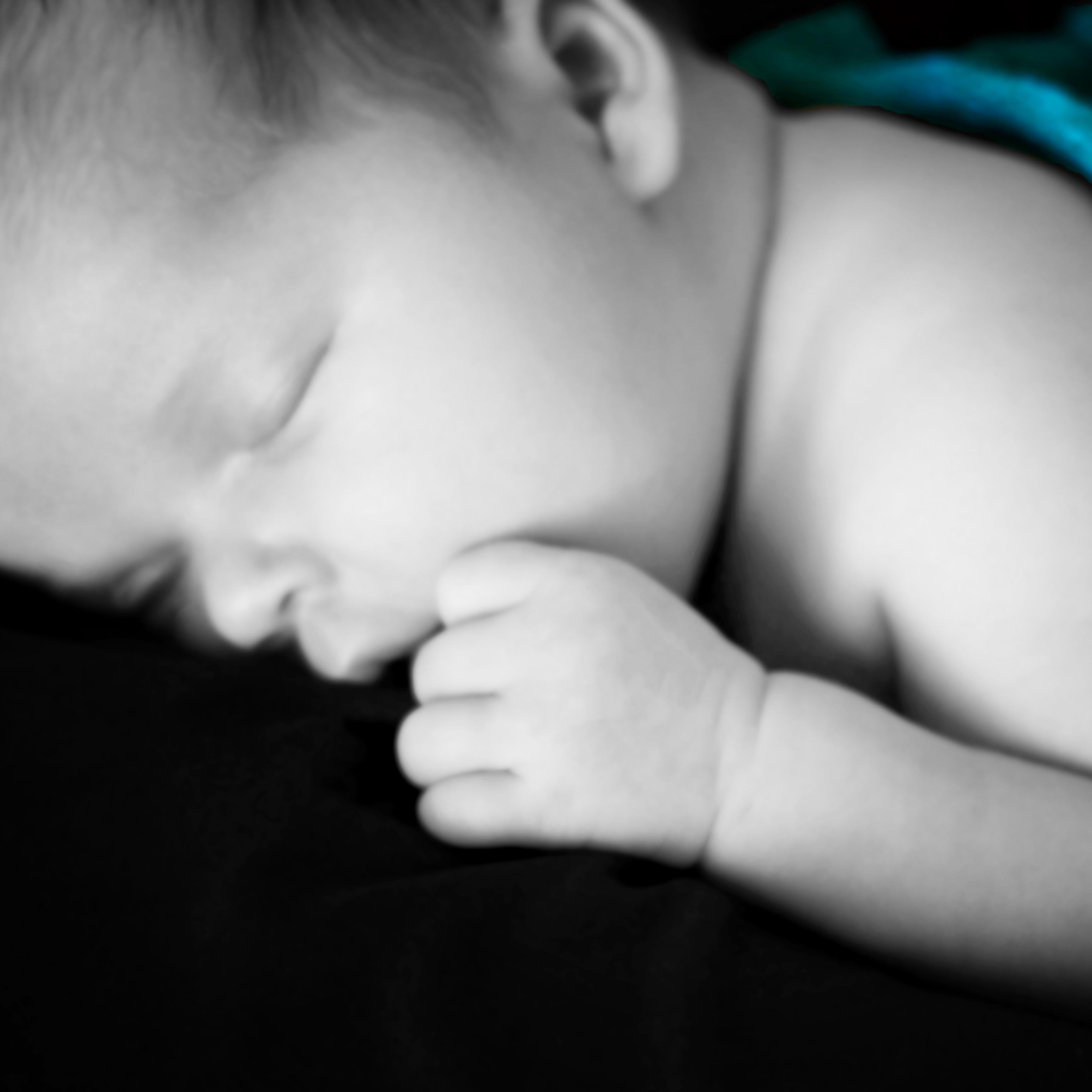 jbellimages's profile picture. My camera is my paintbrush.