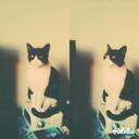 ronald velez - @ronaldmillitos - Twitter