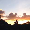 ALEJANDRA CUEVAS - @alepacusa - Twitter