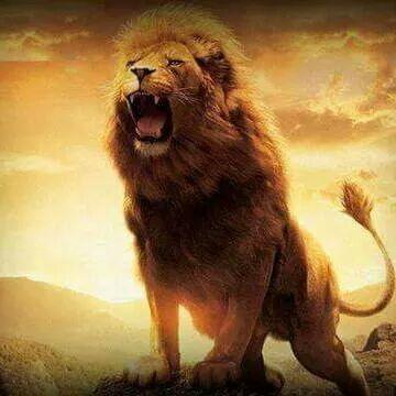 carmenbull39's profile picture. Carmen Bullon I.