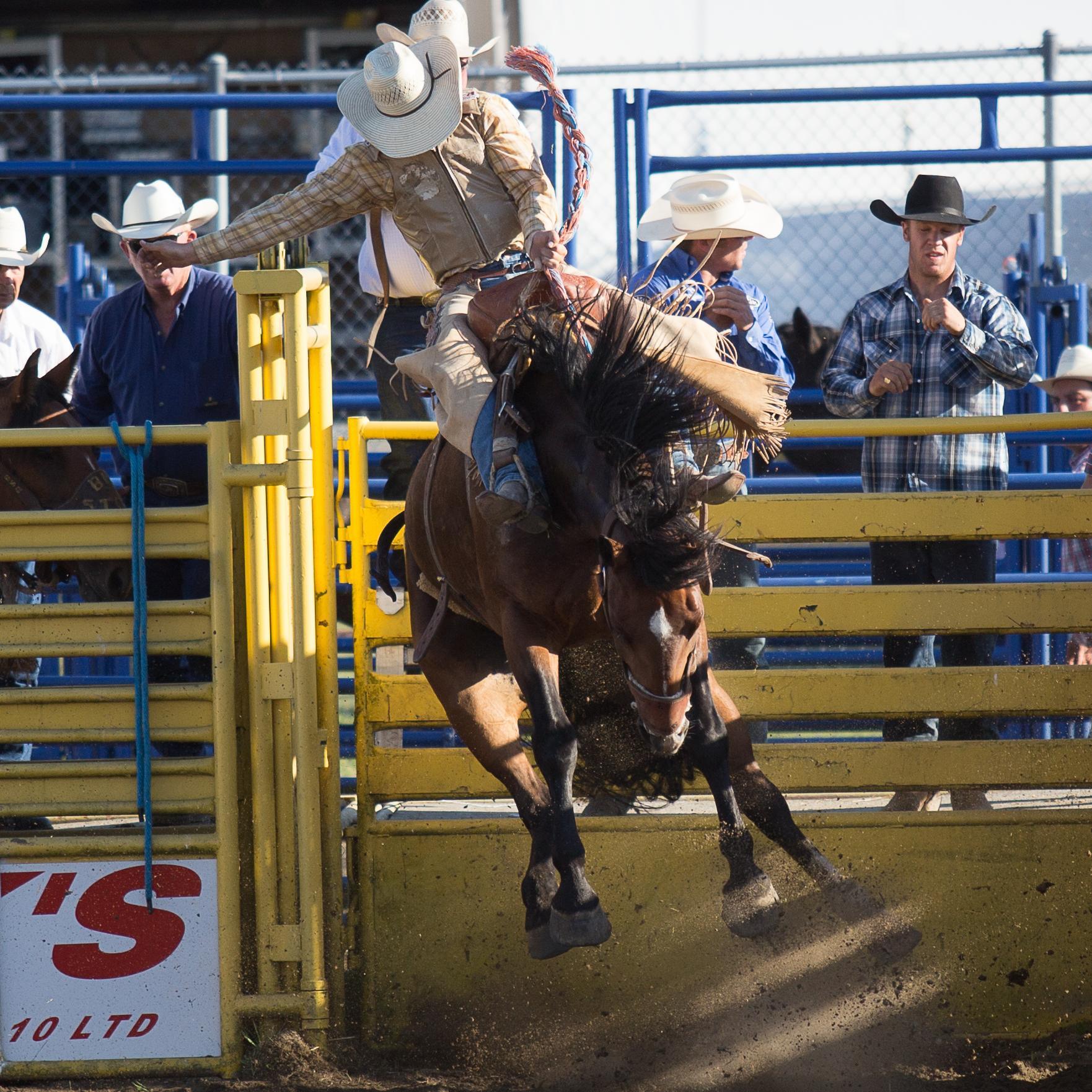 KJWPhoto's profile picture. Meandering through the Pacific Northwest with camera in hand  https://t.co/gTj0xjlXxg  https://t.co/zsGRM1P0Ig