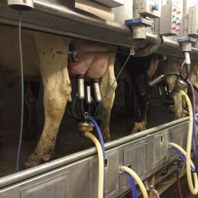 dairy farmer from your typical small town USA, livin the American Dream