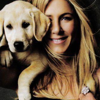 Faniston,Peabody e Friendsmaníaca