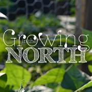 Year-round urban backyard sustainable gardener and experimenter - in the Great White North. Host of #GrowingNorth Twitter Chat Thurs 9pm EST