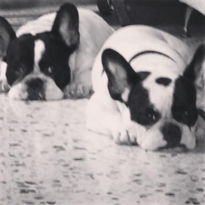 soadspatha's profile picture. 