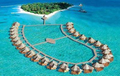 saidalsadi77881's profile picture. 