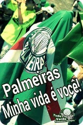 Palmeiras minha vida
