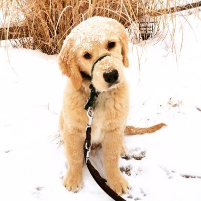 sarah_aker's profile picture. 