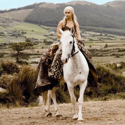GameOfEq's profile picture. Still adjusting to this whole adult amateur thing / Arabians / Been riding since I left the womb / SMS & Saddleseat / Currently horse shopping