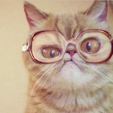 Cr3p3r3rum's profile picture. 