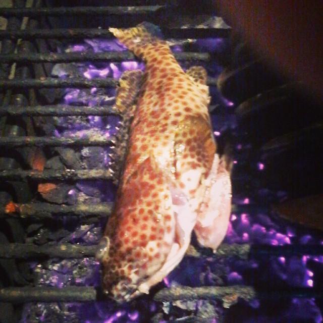 Warung spesialis Ikan bakar dan olahan ikan lainnya...mulai ikan laut sampai tawar yang segar pastinya,masalah harga pasti terjangkau :D