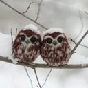 Eva Macleod - @Eva_Macleod - Twitter