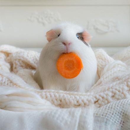 (๑OwO)و