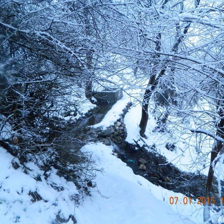 sevketbaydede's profile picture. benim burda ne işim var