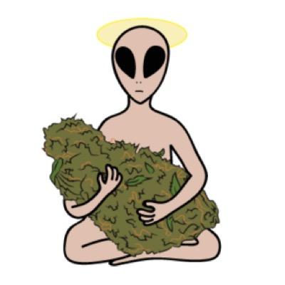 traceyphan's profile picture. 