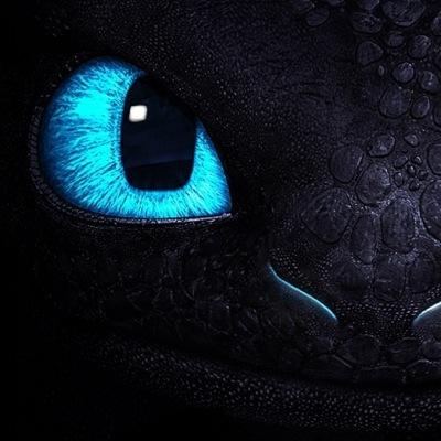 Content,and quite friendly.Divya mostly spends her time flying or catching fish,she is unusually more powerful than a Night Fury. || #OC #OpenRP #MVRP #Single
