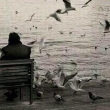 2134438a's profile picture. 