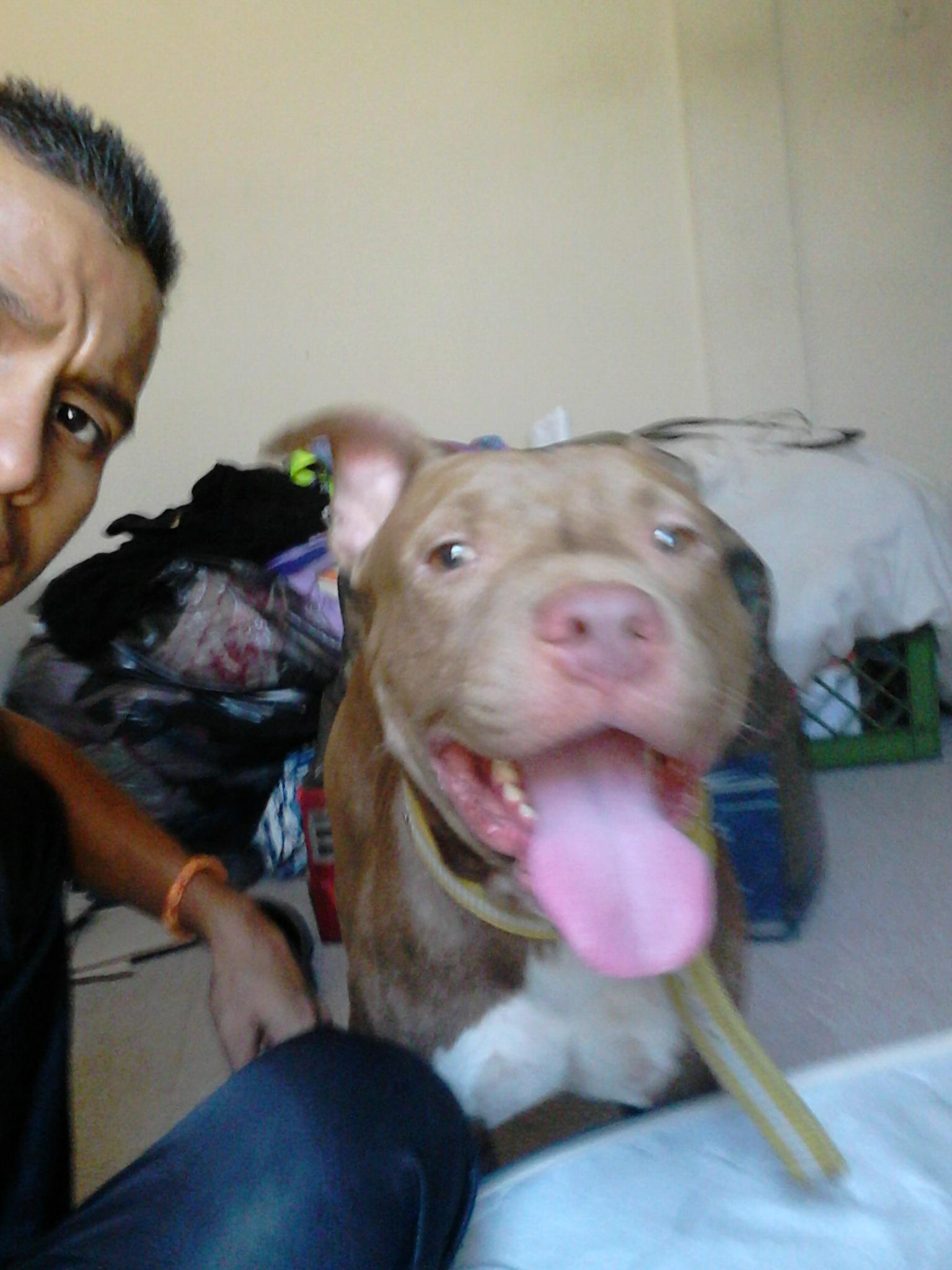 baelsahid's profile picture. 