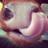 cardonaandson's profile image