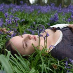 Lamomecrevette's profile picture. 