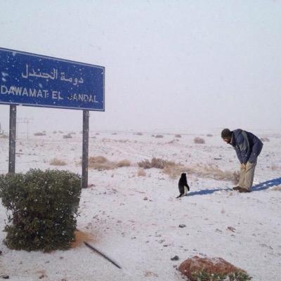 sadon2020iclou1's profile picture. 