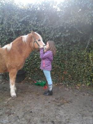 kyra_helweg's profile picture. 